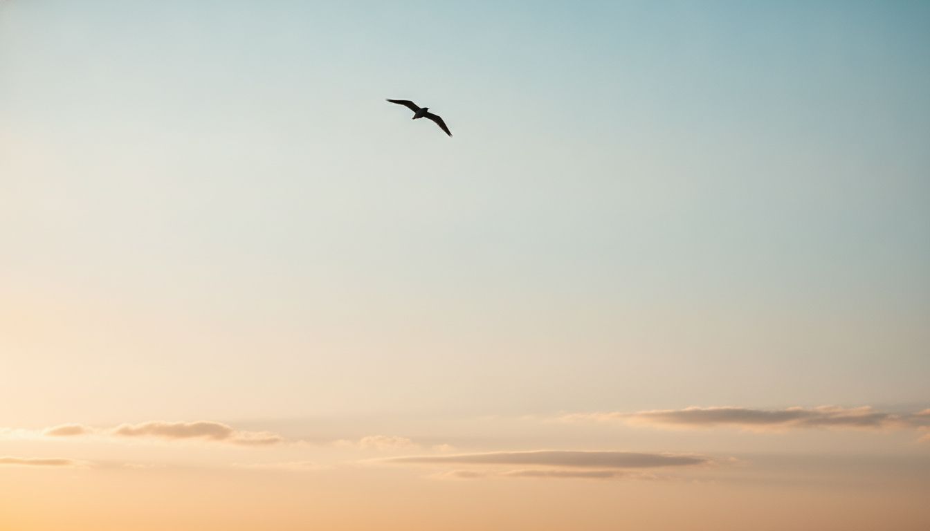 A bird in flight against a calm dawn sky symbolizing clarity and purposeful pause