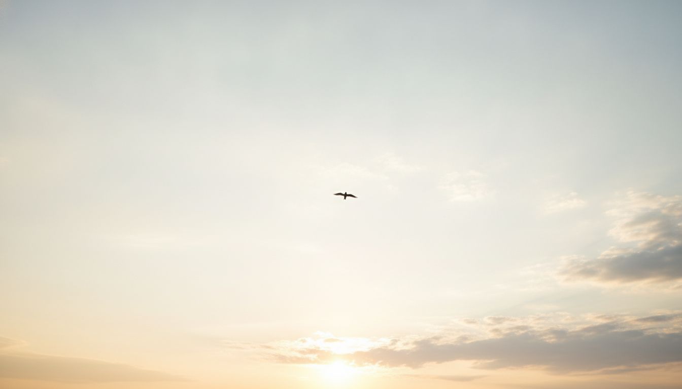 Bird in flight against open sky representing the Selah concept of pause and reflection