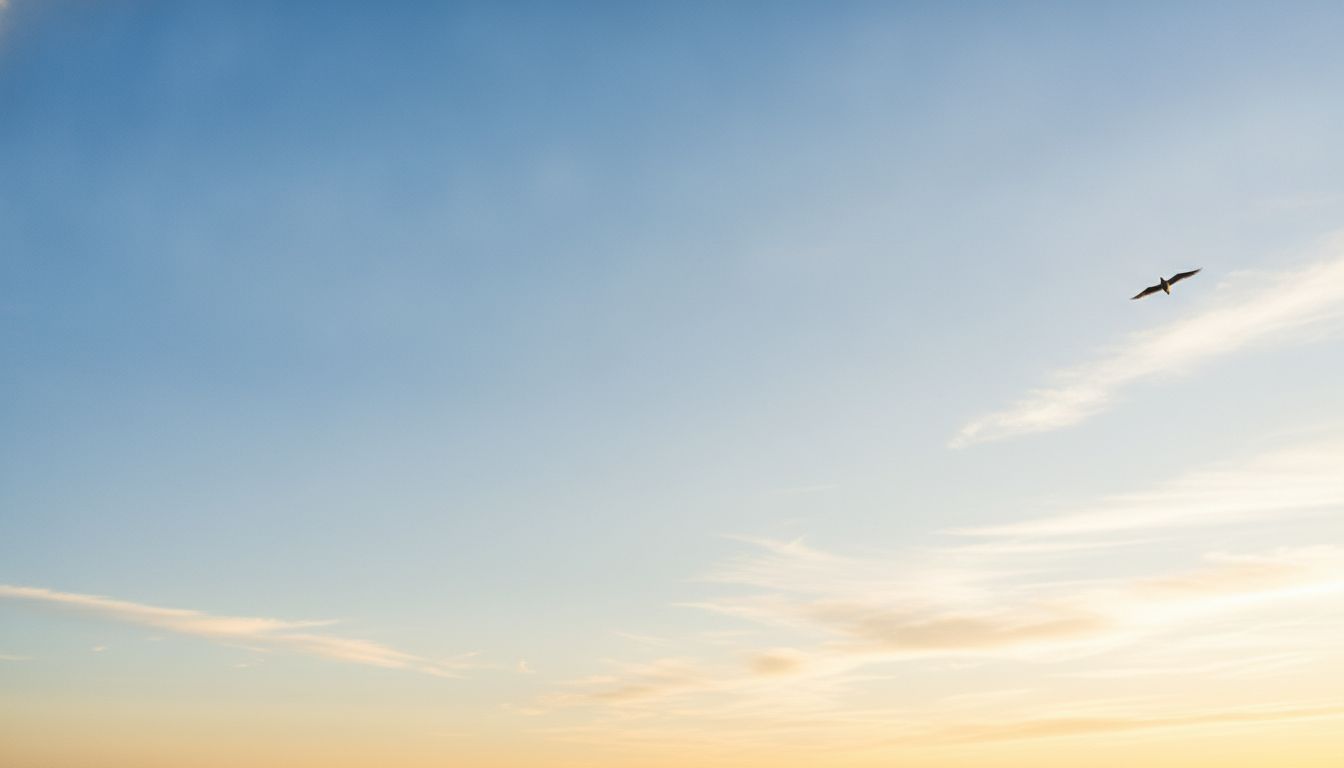 Calming sky with bird in flight representing clarity and rest