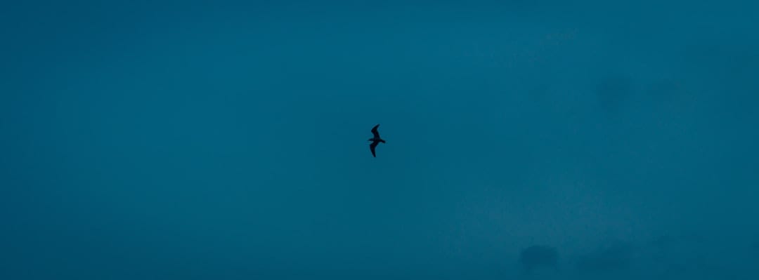 Calm sky with subtle bird silhouettes evoking reflection and clarity